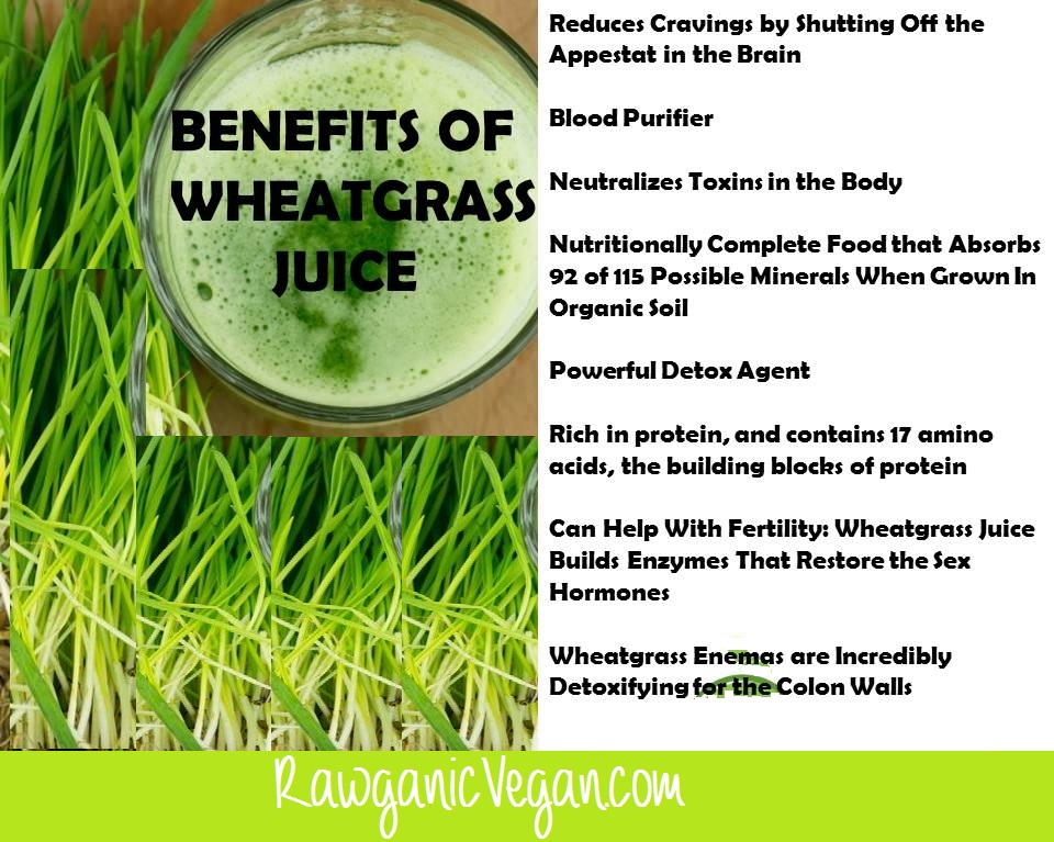 16 MORE REASONS TO START JUICING WHEATGRASS NOW!