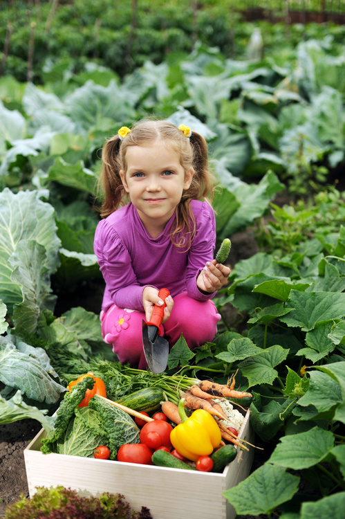TOP 5 TIPS TO GET KIDS TO EAT HEALTHY!