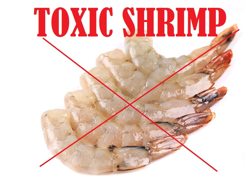 HARMFUL TOXINS IN FARMED AND WILD SHRIMP