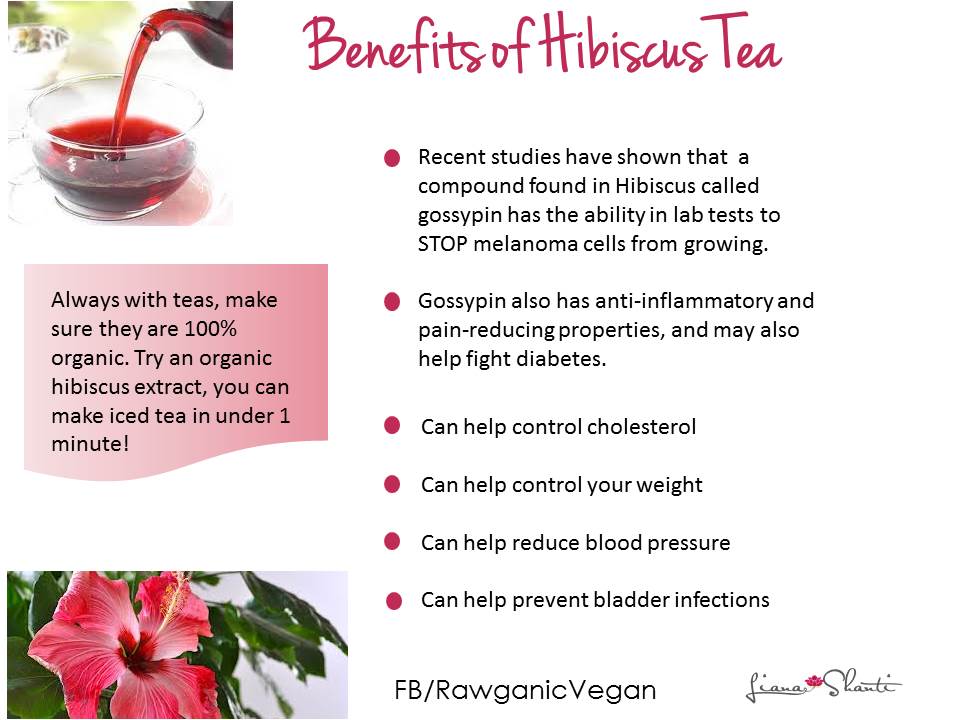 HIBISCUS FOR CANCER PREVENTION AND TREATMENT?
